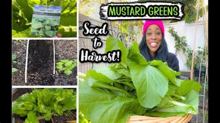 How much does mustard charge per beat? (Celebrity Interview)