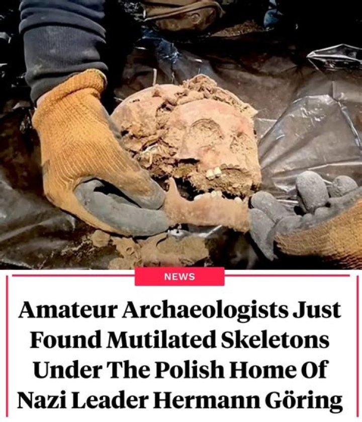 Mutilated Skeletons Discovered Beneath Hitler's Wolf's Lair