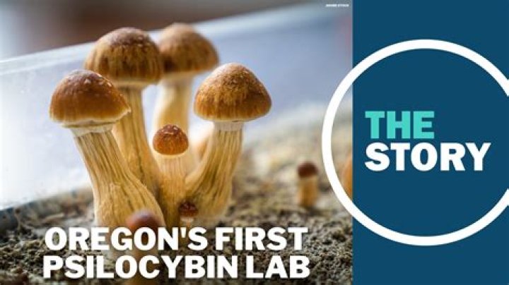 Oregon Becomes First State In The U.S. To Legalize 'Magic' Mushrooms