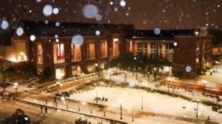 Robbie Burlew – Celebsgraphy