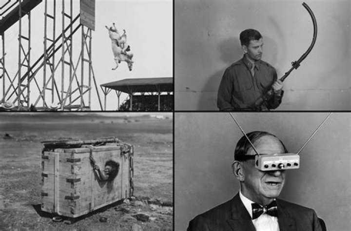 The World's Most Bizarre Art